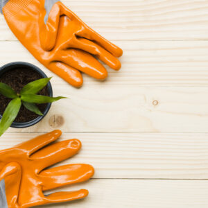 Gants